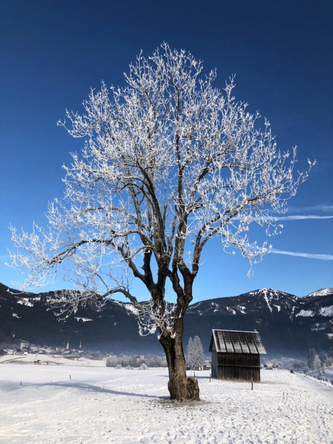Apartamento Dachstein Mountainview Gosau Exterior foto