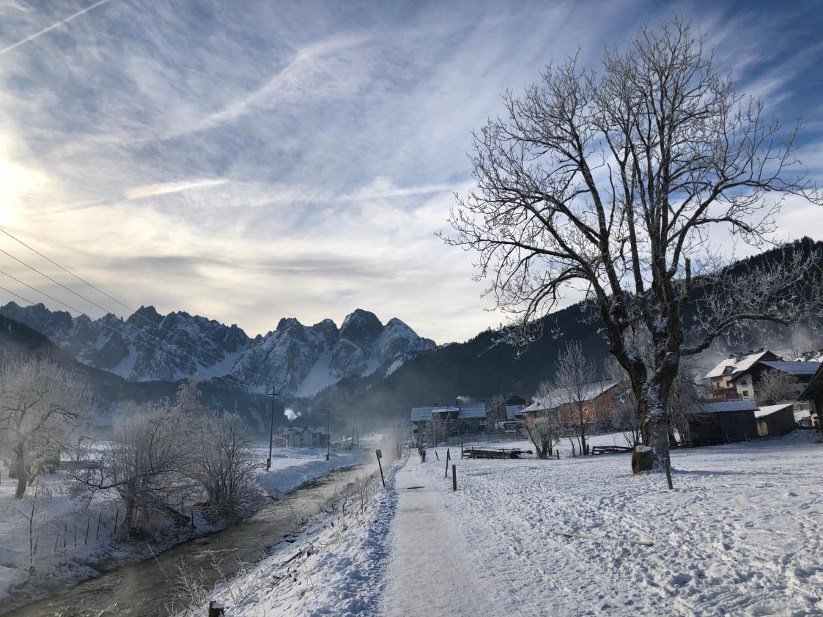 Apartamento Dachstein Mountainview Gosau Exterior foto