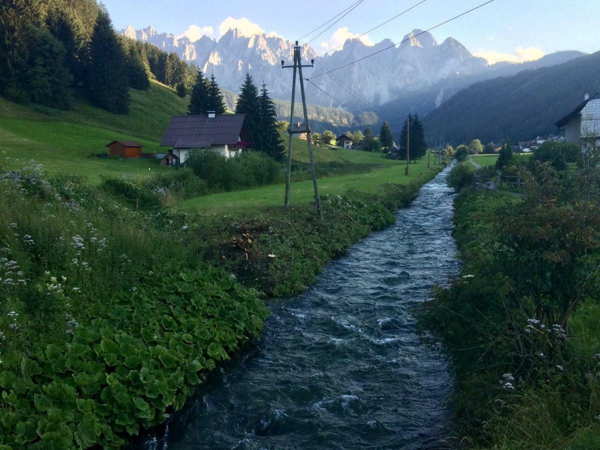 Apartamento Dachstein Mountainview Gosau Exterior foto