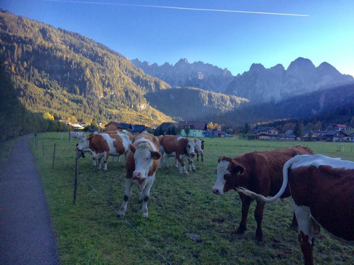 Apartamento Dachstein Mountainview Gosau Exterior foto