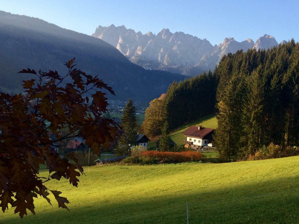Apartamento Dachstein Mountainview Gosau Exterior foto