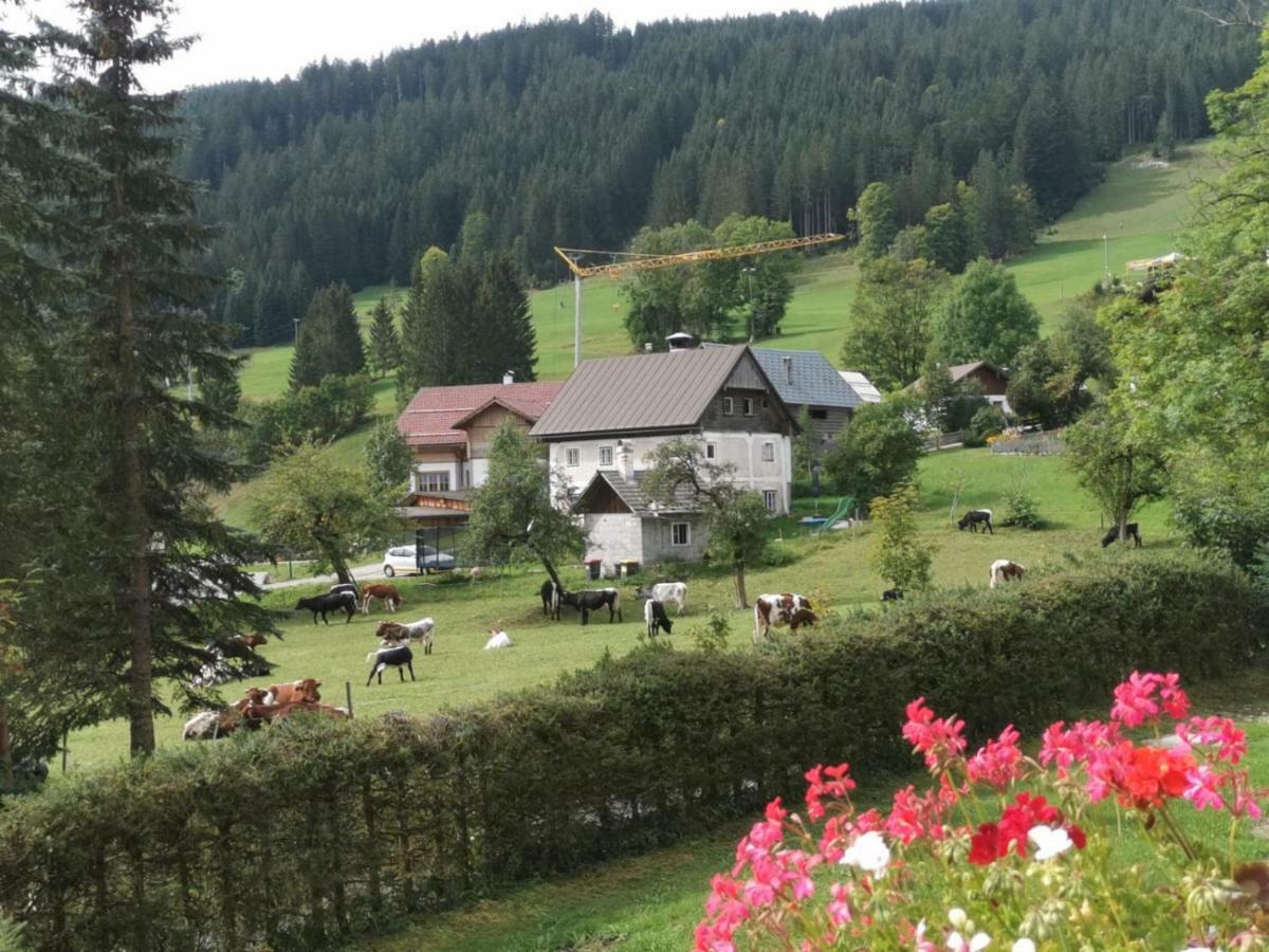 Apartamento Dachstein Mountainview Gosau Exterior foto