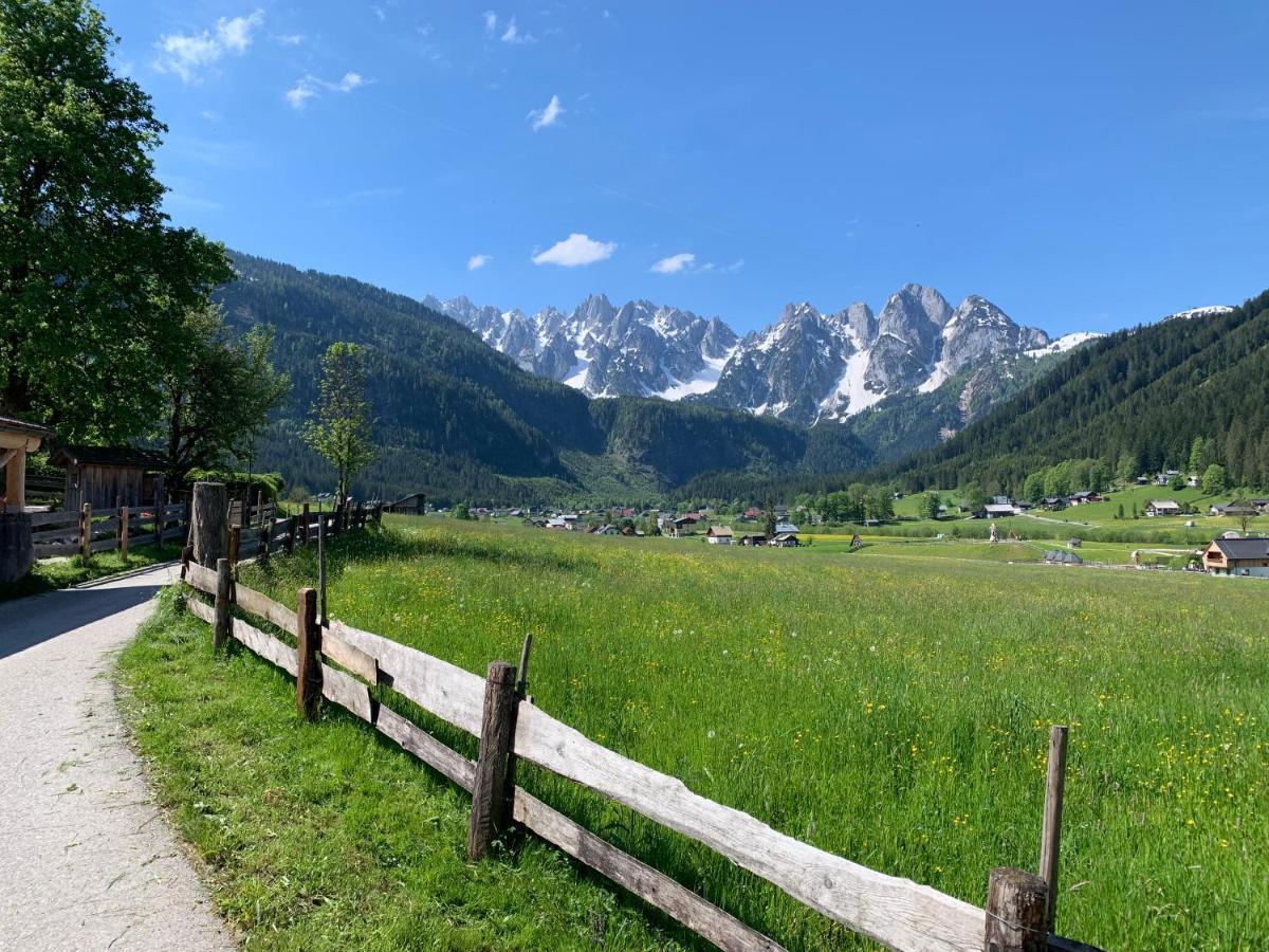 Apartamento Dachstein Mountainview Gosau Exterior foto